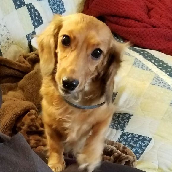 Meet your Posher, Susan - Picture 1 of 1